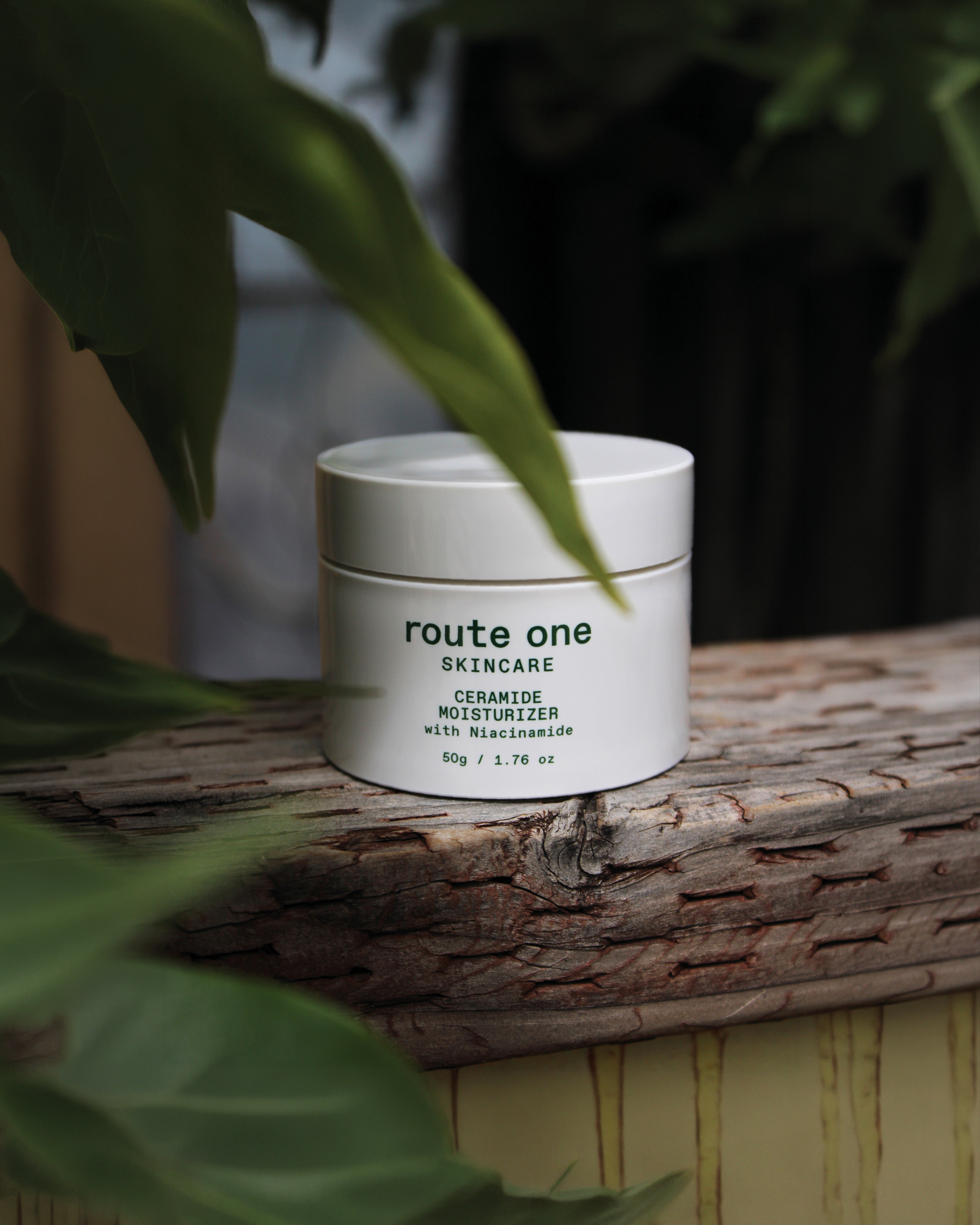 Ceramide Moisturizer with Niacinamide